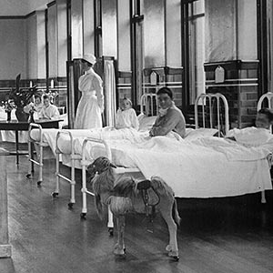 A Ward, Elise Hospital